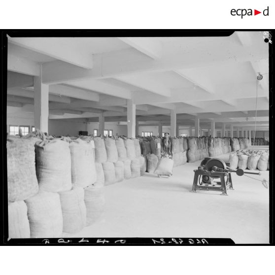 Un entrepôt avec des sacs en toile de jute à Maison-Carrée.