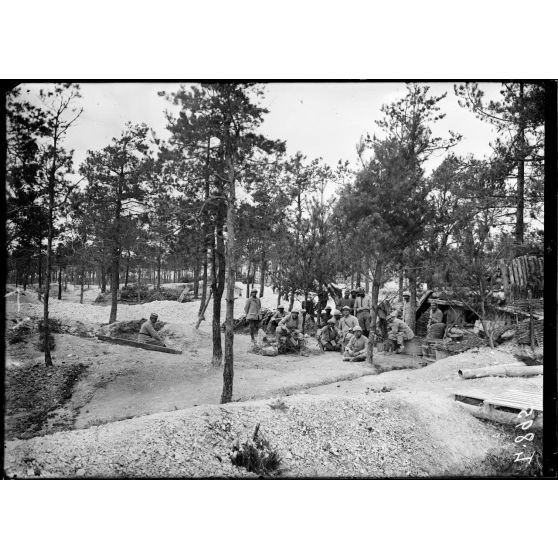 Bois S-40 en Champagne. Un des points d'arrêt de l'offensive de Champagne des 25-26 septembre 1915. [légende d'origine]