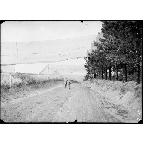 Près Minaucourt. Marne. Route nouvellement construite allant de la cote 202 à Pont Marson : détails du camouflage. [légende d'origine]