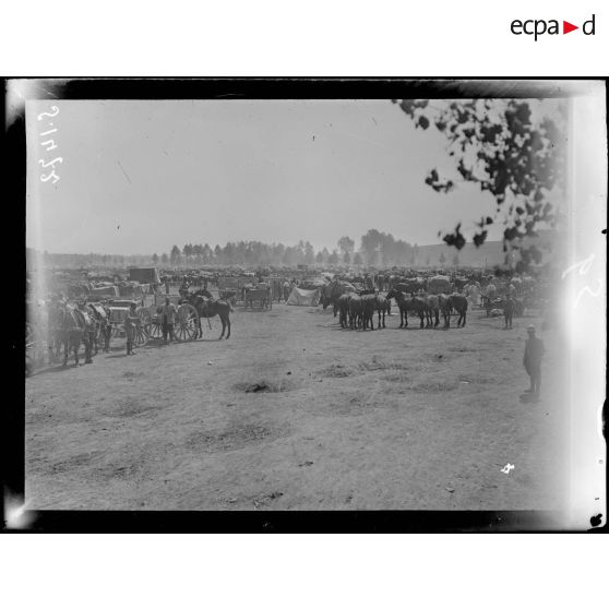 Froissy, commune de Laneuville-lès-Bray (Somme). Parc d'artillerie. [légende d'origine]