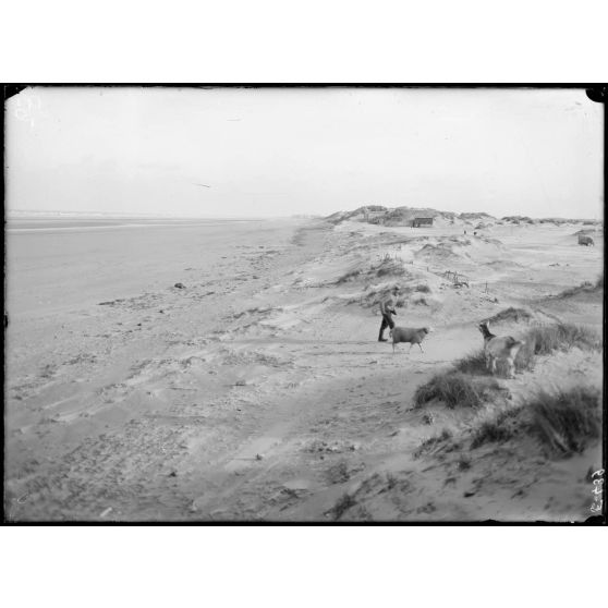 Ouest-Dunkerque-Bains. La plage et les dunes. Au fond, Nieuport-Bains. [légende d'origine]