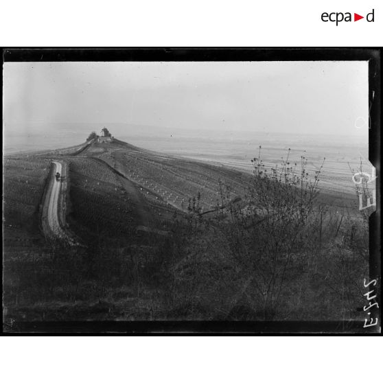 Verzy. Marne. Le vignoble et le moulin de Verzenay. [légende d'origine]