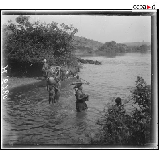 La Wima, près de N'Gaoundéré. Les rives de la Wina. [légende d'origine]