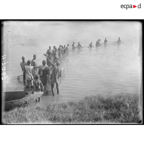 Karnak- Logone. Pêche à la Seine dans le Logone. [légende d'origine]