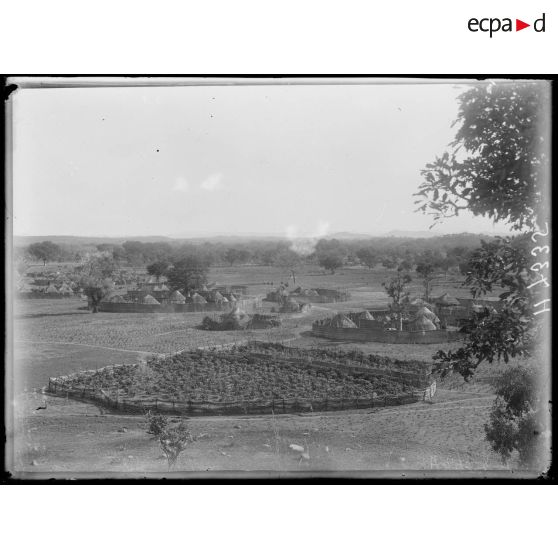 Piste de Garoua à Tschamba. Kalgué. Vue générale du village et champ de manioc. [légende d'origine]