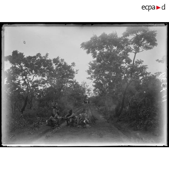 Piste de Garoua à Tschamba. La piste à 1h1/2 au sud de Kalgé. [légende d'origine]