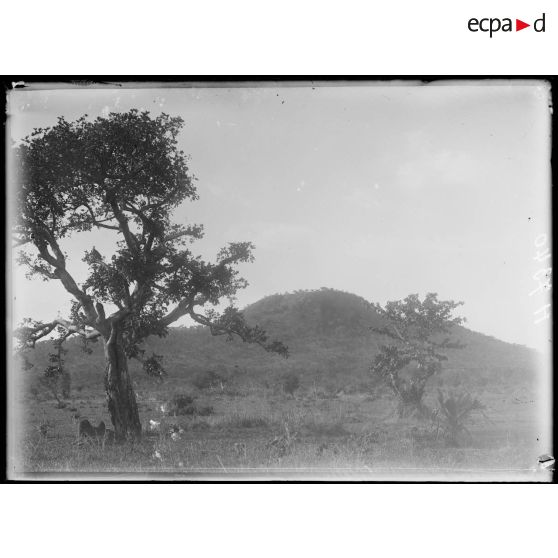 Piste de Garoua à Tschamba. Tschéboa. Monrtagne de Tschéboa. [légende d'origine]