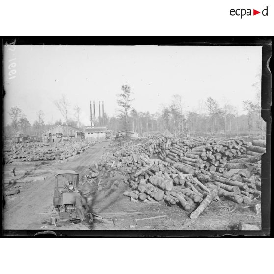 Près de Saint Dizier, Haute Marne. Exploitation forestière américaine. Les bois amenés près de la scierie. [légende d'origine]