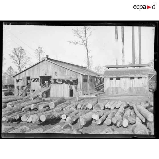 Près de Saint Dizier, Haute Marne. Exploitation forestière américaine. [légende d'origine]