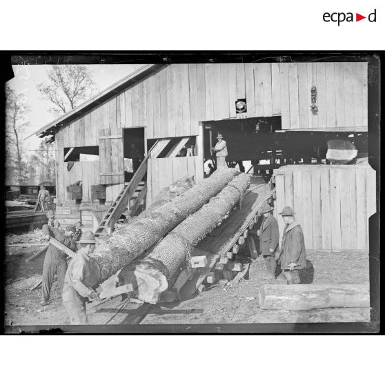 Près de Saint Dizier, Haute Marne. Exploitation forestière américaine. On fait entrer le bois dans la scierie. [légende d'origine]