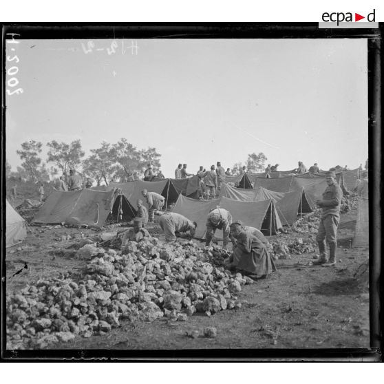 Corfou. Camp d'Ipsos. Campement du 23e d'Infanterie (division Vardar). [légende d'origine]