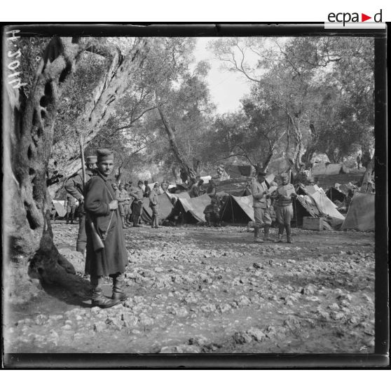 Corfou. Camp d'Ipsos. Camps d'un régiment d'artillerie de la division de la Drina.  [légende d'origine]