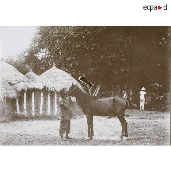 [Un Africain et son cheval, s. d.]