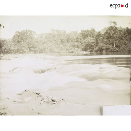 [Paysage des rives du fleuve Congo.]