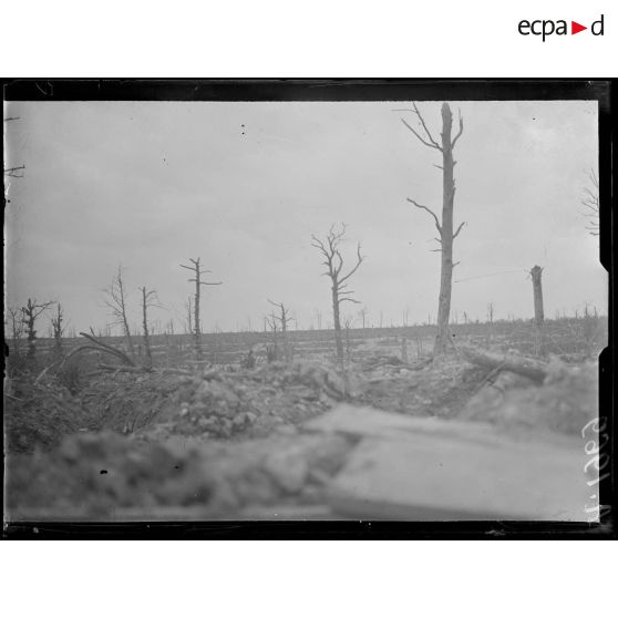 Four de Paris (Meuse). Vue de la tranchée allemande de la Houyette. [légende d'origine]