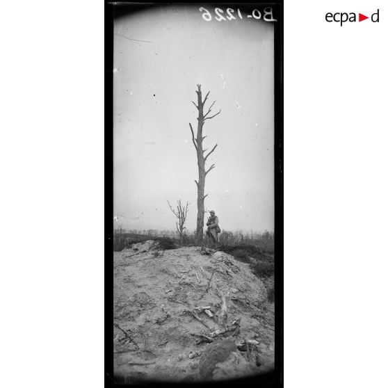 Bois des Buttes (Aisne), vue prise sur le terrain de l'attaque du 16 avril 1917. [légende d’origine]