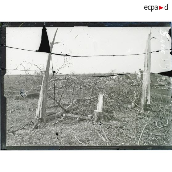 Près de Vaux (Aisne). Les vestiges du parc, les arbres coupés. [légende d'origine]