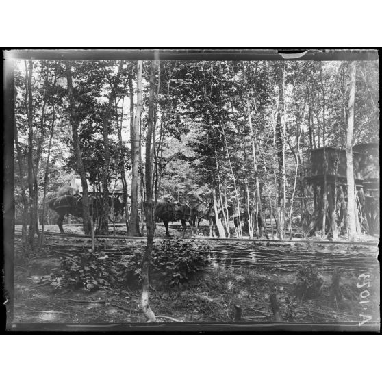 Forêt de Parroy. (Meurthe et Moselle). La gare d'Hallaumont. [légende d'origine]