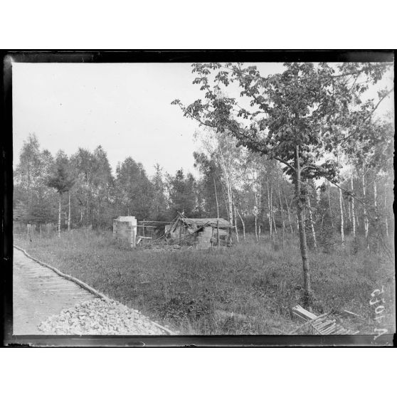 Forêt de Parroy. (Meurthe et Moselle). "La maison brûlée". [légende d'origine]