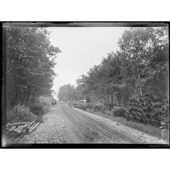 Forêt de Parroy. (Meurthe et Moselle). Près de la maison forestière. [légende d'origine]