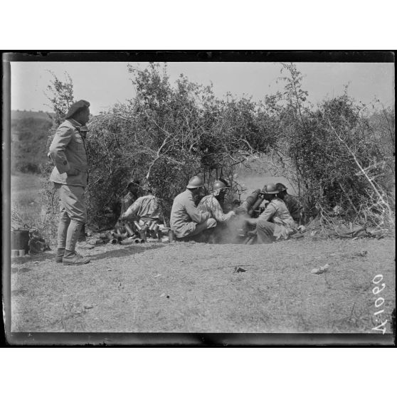 Région de Vladaja, 18 août 1916. Pièces de 65 de montagne venues du Maroc. [légende d'origine]