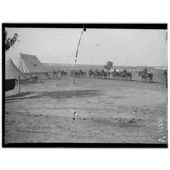 Près Salonique. Cavalerie anglaise. [légende d'origine]