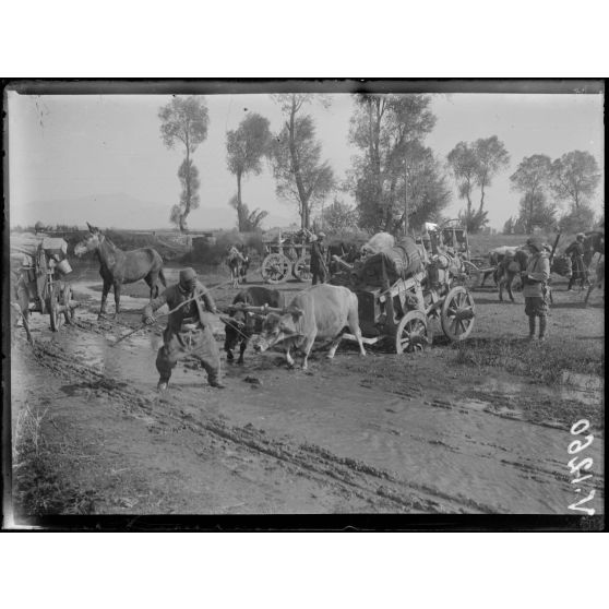 Sopotznni. Le char de la section photographique et cinématographique embourbé. [légende d'origine]