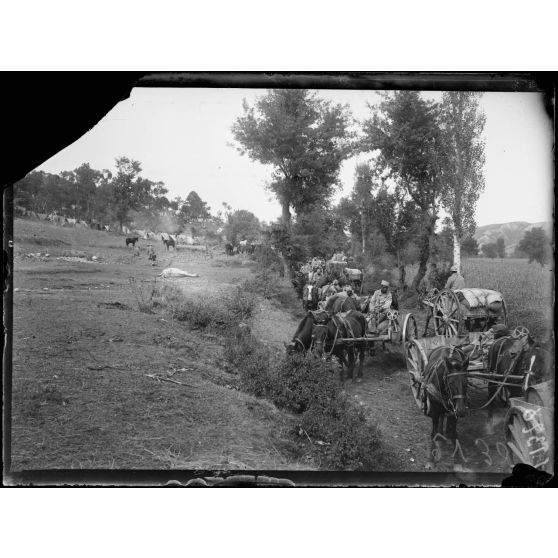 Negovani. Convoi dans le chemin menant au village. [légende d'origine]