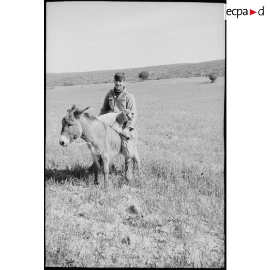 Portrait d'un soldat assis chevauchant un âne. Il tient un mouton dans ses bras. [légende d'origine]