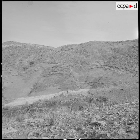 [Soldat du 2/8e RIM progressant sur une piste au cours d'une opération en Kabylie.]