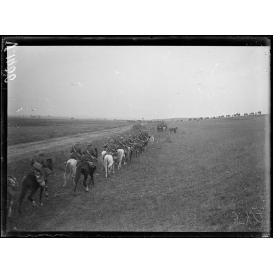 Près Vrtelom. Troupes sur la route de Monastir. [légende d'origine]