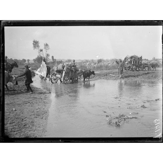 Près Rosna, sur la route de Monastir, convoi de la 156e division. [légende d'origine]