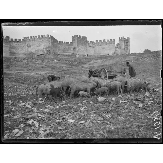 Salonique. Une partie des remparts (côté sud). [légende d'origine]