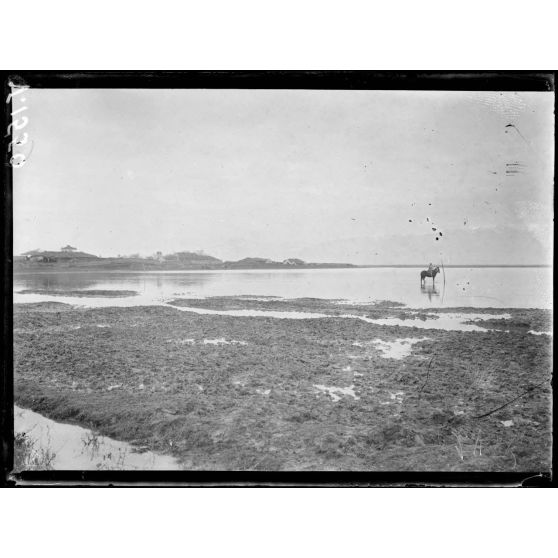 Près Negotin Tiberna. Réparation d'un ligne téléphonique dans la plaine inondée de la crue de la Tcherna. [légende d'origine]