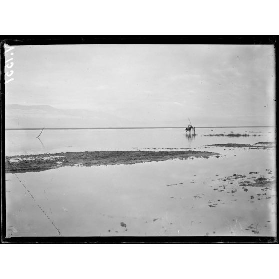 Près Negotin Tiberna. Réparation d'un ligne téléphonique dans la plaine inondée de la crue de la Tcherna. [légende d'origine]