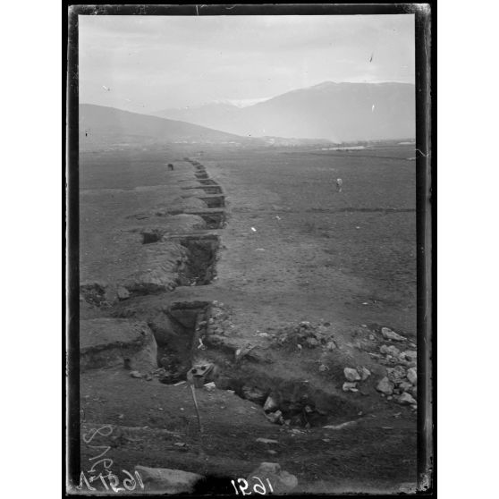 Brod. Vue des tranchées bulgares près Brod après le bombardement. [légende d'origine]