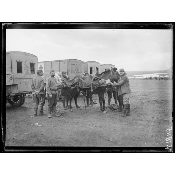 Brod. Arrivée de blessés russes. Au fond, la boucle de la Tcherna. [légende d'origine]