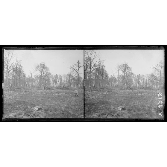 Grivesnes, Somme, un coin du parc du château. [légende d'origine]