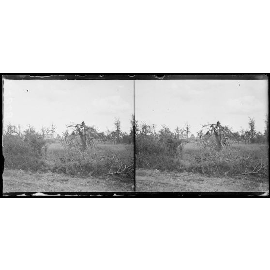 Rouvrel, Somme, le village. [légende d'origine]