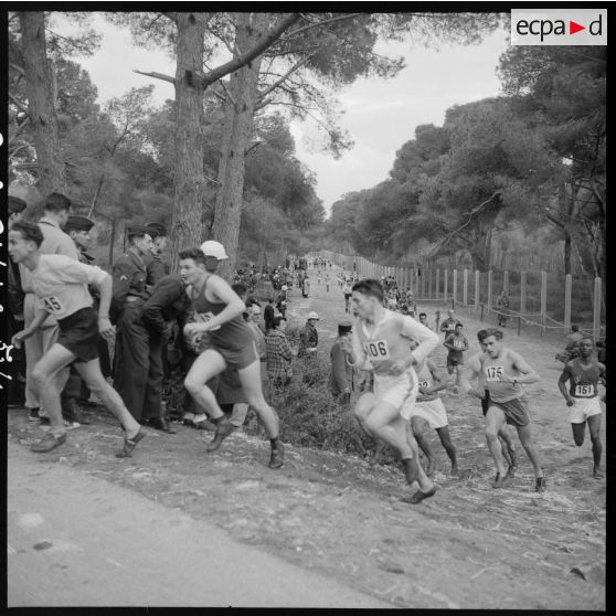 Déroulement du cros-country dans la forêt de Sidi Ferruch.