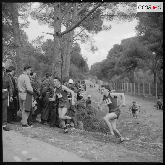 Déroulement du cros-country dans la forêt de Sidi Ferruch.