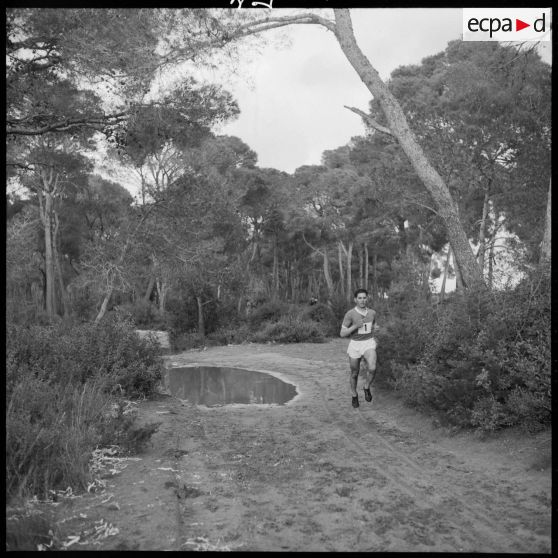 Déroulement du cros-country dans la forêt de Sidi Ferruch.