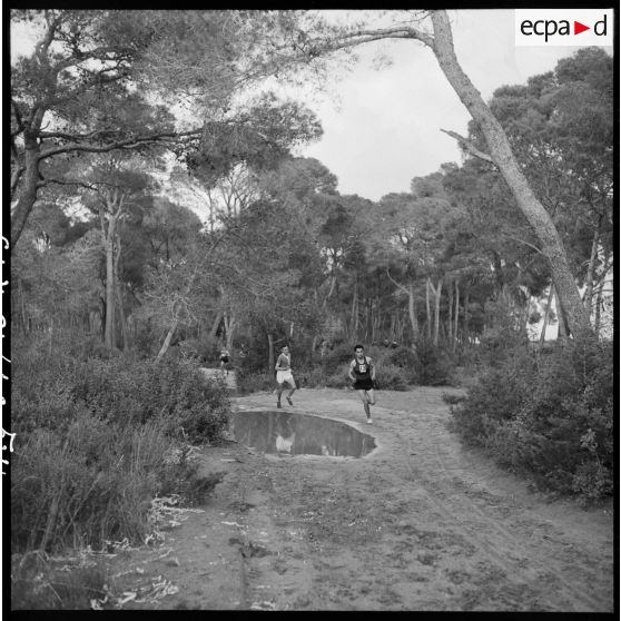 Déroulement du cros-country dans la forêt de Sidi Ferruch.