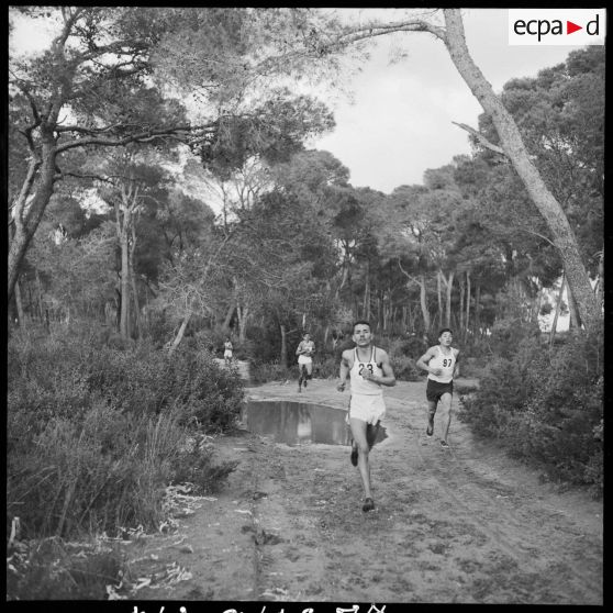 Déroulement du cros-country dans la forêt de Sidi Ferruch.