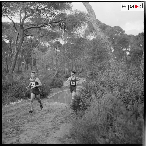 Déroulement du cros-country dans la forêt de Sidi Ferruch.