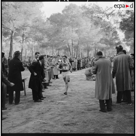 Déroulement du cros-country dans la forêt de Sidi Ferruch.