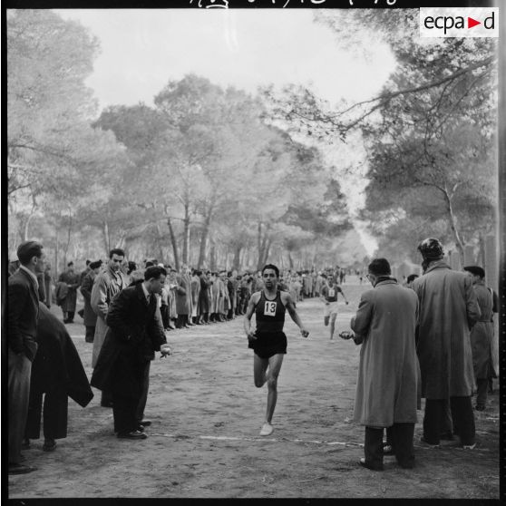 Déroulement du cros-country dans la forêt de Sidi Ferruch.