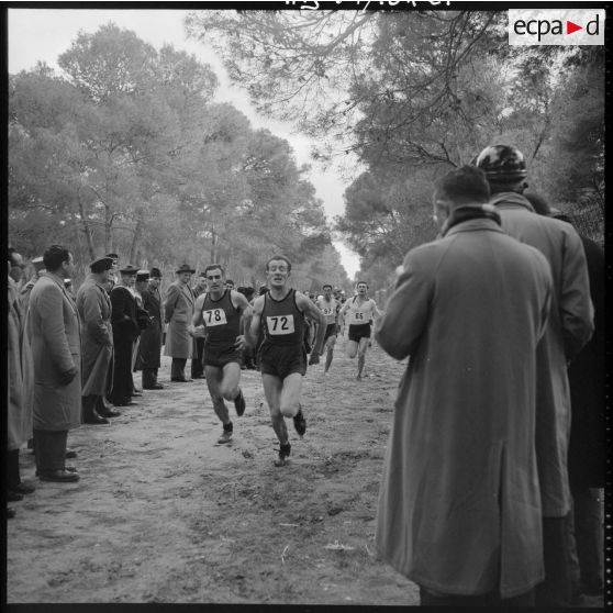 Déroulement du cros-country dans la forêt de Sidi Ferruch.