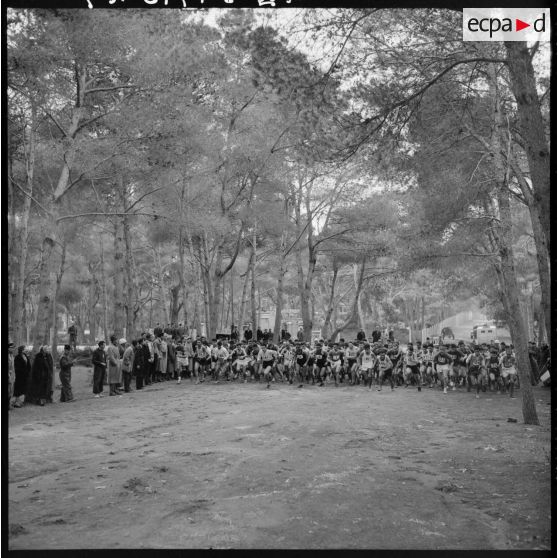 Départ en masse des sportifs au travers de la forêt de Sidi Ferruch.