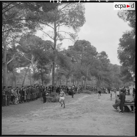 Déroulement du cross-country dans la forêt de Sidi Ferruch.